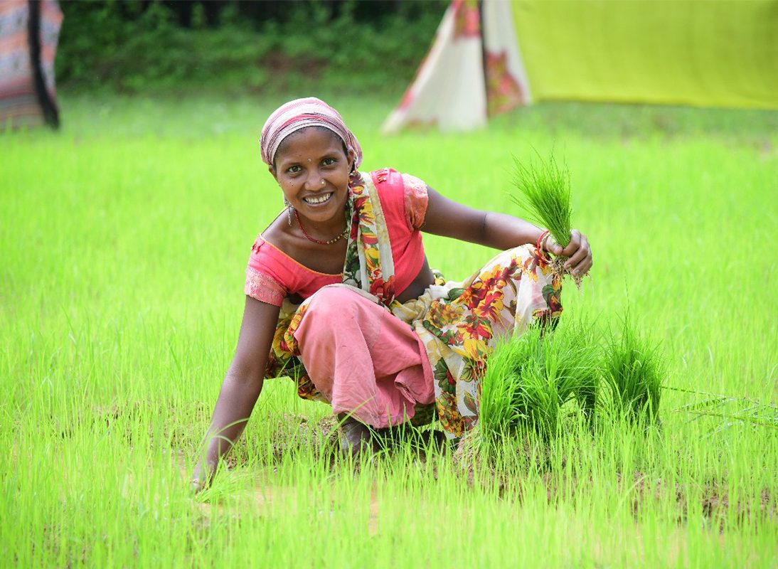 बालको की पहल से कृषि में आया बदलाव, पैदावार में वृद्धि और लागत में कमी