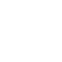 core-value-icon