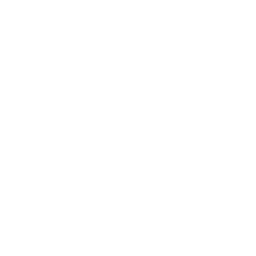 core-value-icon